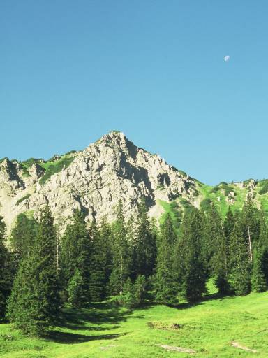 Image0026.web.jpg