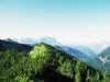 [thumbnail of Picture 4]