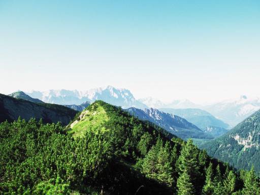 Image0028.web.jpg