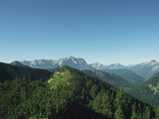 Image0029.web.jpg