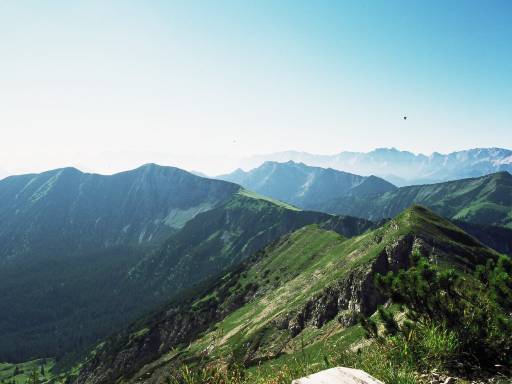 Image0032.web.jpg
