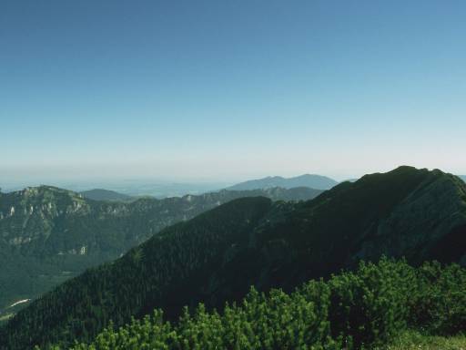 Image0036.web.jpg