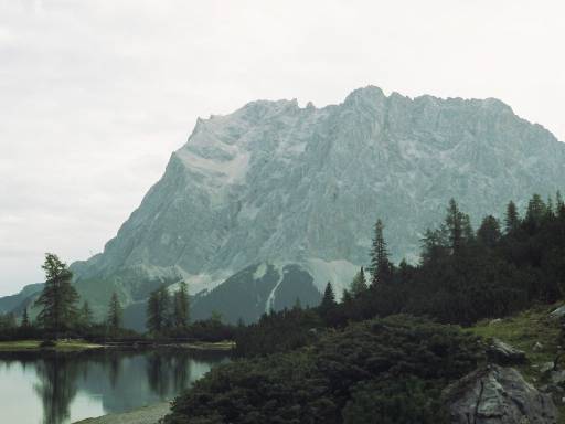 Image0213.web.jpg