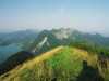 [thumbnail of Picture 4]
