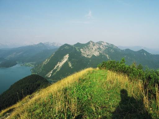 Image0236.web.jpg