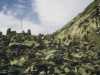 [thumbnail of Picture 4]