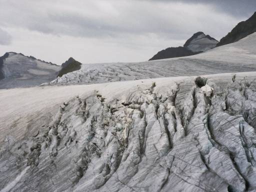 Image0260.web.jpg