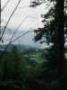 [thumbnail of Picture 1]