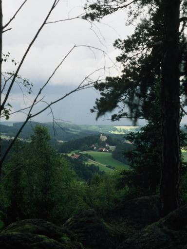 Image0028.web.jpg