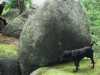 [thumbnail of Picture 3]