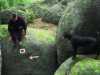 [thumbnail of Picture 5]