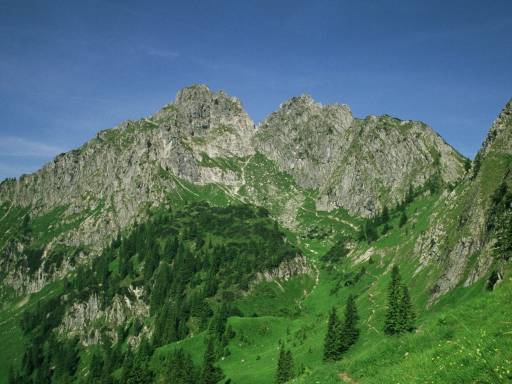 Image0002.web.jpg