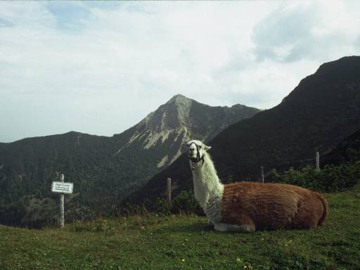 Image0001.web.jpg