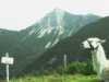 [thumbnail of Picture 2]