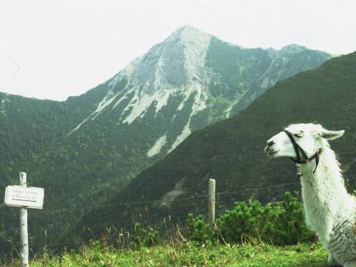 Image0002.web.jpg