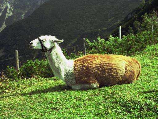 Image0004.web.jpg