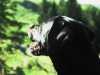 [thumbnail of Picture 1]