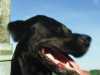 [thumbnail of Picture 2]