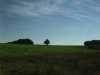 [thumbnail of Picture 4]