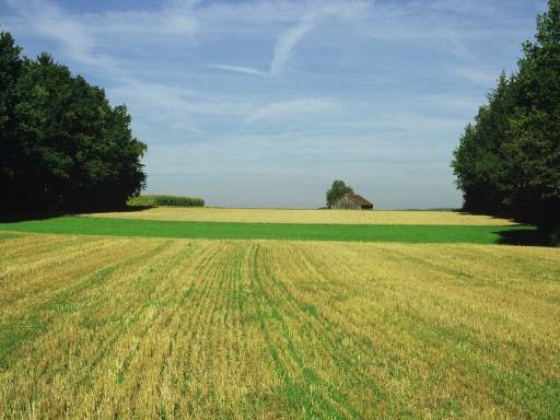 Image0013.web.jpg