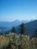 [thumbnail of Picture 1]