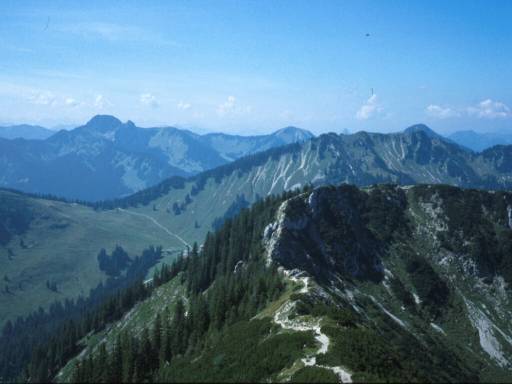 Image4.web.jpg