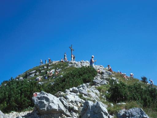 Image5.web.jpg