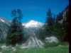 [thumbnail of Picture 3]