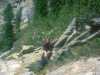 [thumbnail of Picture 10]