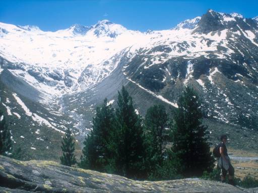 Image0012.web.jpg