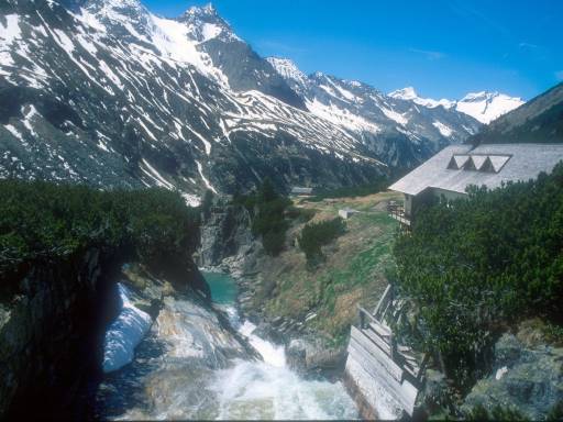 Image0017.web.jpg