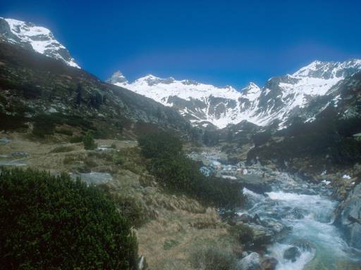 Image0020.web.jpg