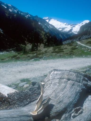 Image0028.web.jpg