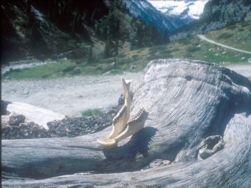 Image0029.web.jpg