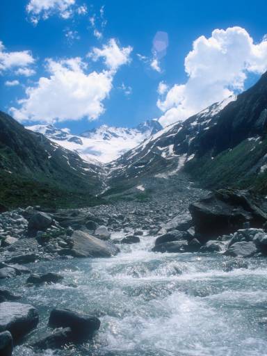 Image0039.web.jpg