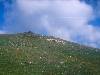 [thumbnail of Picture 8]
