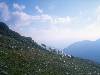 [thumbnail of Picture 11]