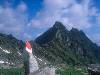 [thumbnail of Picture 28]