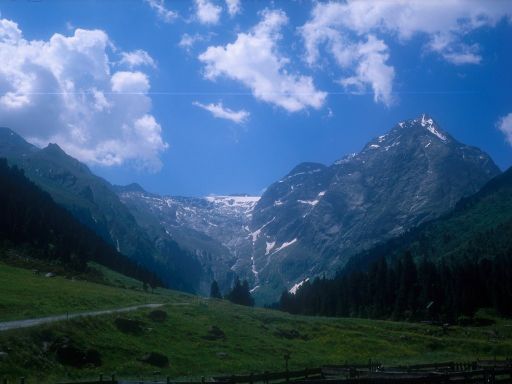 Image1267.web.jpg