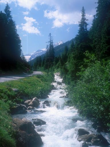 Image1269.web.jpg