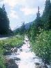 [thumbnail of Picture 33]