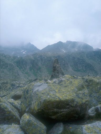 Image1276.web.jpg