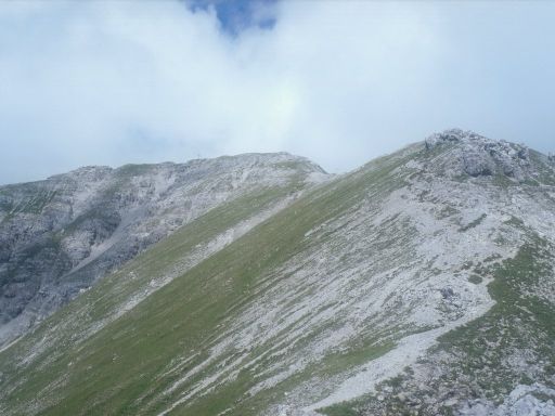 Image1300.web.jpg