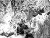 [thumbnail of Picture 1]
