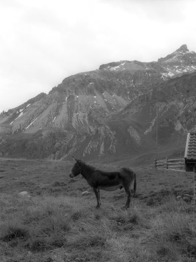 Image1304.web.jpg