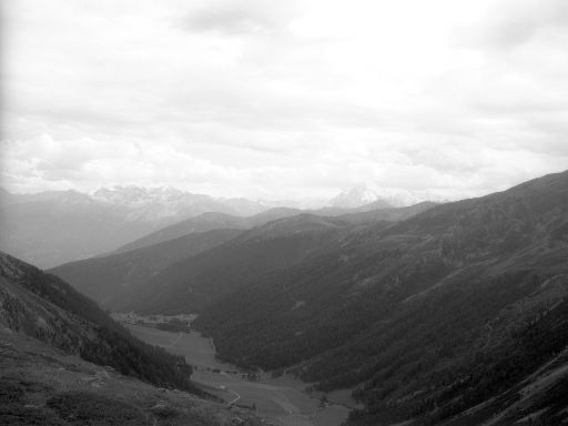 Image1306.web.jpg