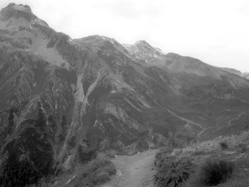Image1314.web.jpg