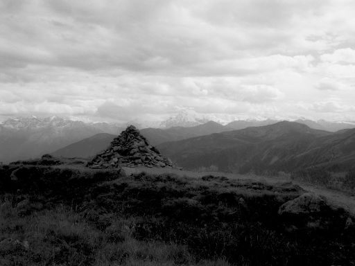 Image1315.web.jpg