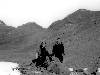 [thumbnail of Picture 25]