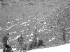 [thumbnail of Picture 26]